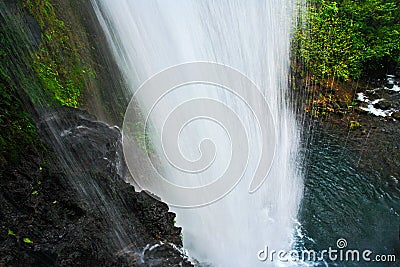 Waterfall in the green tropic forest. Water in the jungle. La Paz Waterfall gardens, with green tropical forest, Central Valley Stock Photo