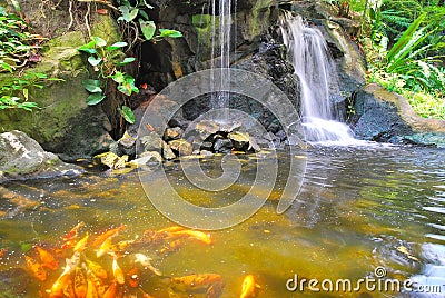 Waterfall with Japanese carp Stock Photo