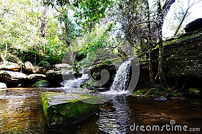 Waterfall in the jungle Stock Photo