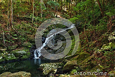 Waterfall in Kondalilla National Park Stock Photo