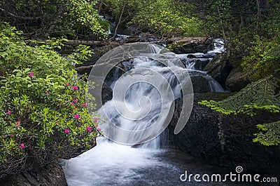 Waterfall at La Vall de Sorteny Naturtal Park Stock Photo