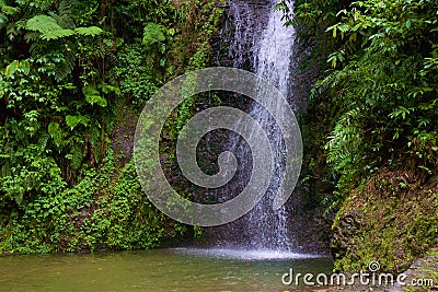 Waterfall in Martinique, Caribbean Stock Photo