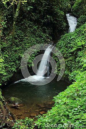 Waterfall in Monteverde Biological Reserve, Costa Rica Stock Photo