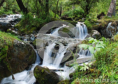 Waterfall, mountain river Stock Photo