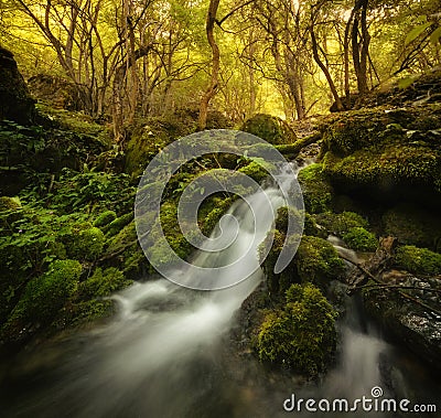 Waterfall on mountain river with moss on rocks Stock Photo