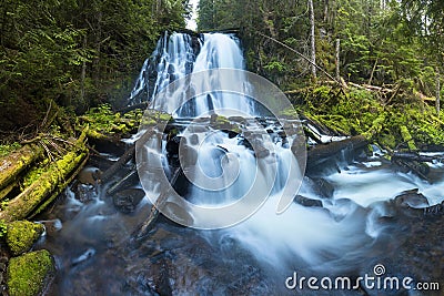 Waterfall mountain view close up. Mountain river waterfall landscape. River scene. Forest waterfall view. Stock Photo