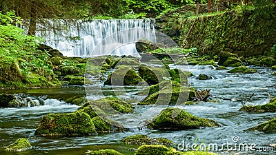 Waterfall in a mountainous rapid river with stones overgrown with moss Stock Photo