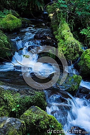 Waterfall near Lake Angeles in Olympic National Park Stock Photo