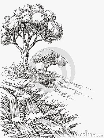 Waterfall and olive trees landscape Vector Illustration