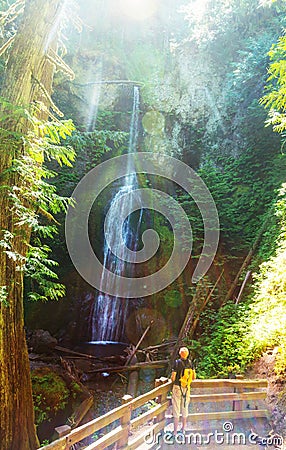 Waterfall in Olympic Stock Photo