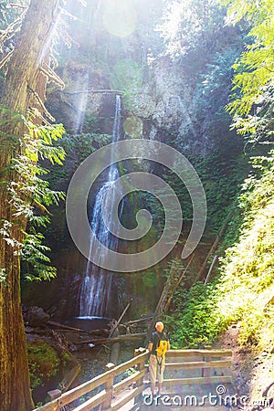 Waterfall in Olympic Stock Photo