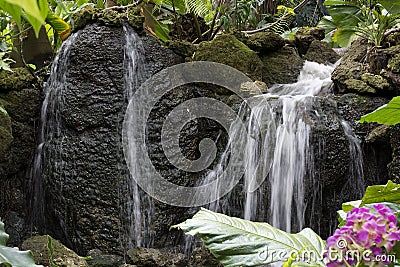 Waterfall Over Mossy Rocks With Pink Flowers at Fairchild Tropical Botanic Garden in Southern Florida Stock Photo