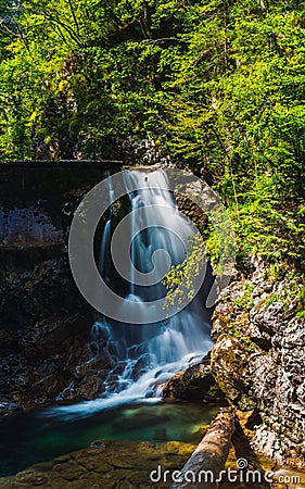 Waterfall on the Radovna River in Vintgar Gorge Stock Photo