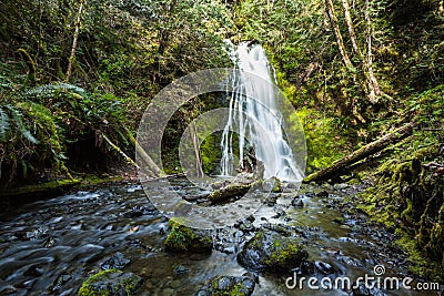 Waterfall in rain forest, Olympic national Park Stock Photo