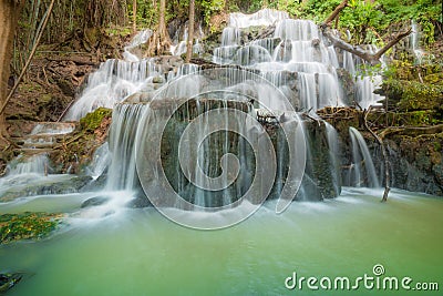 Waterfall in the Rain Forest Stock Photo