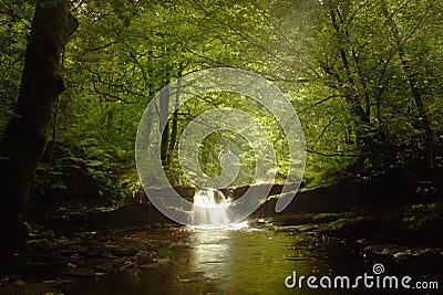 Waterfall after rain. Stock Photo