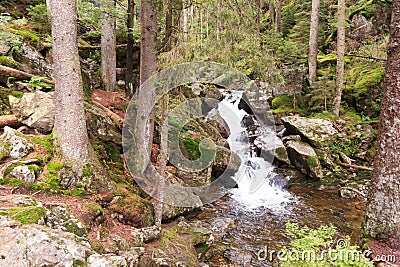 Waterfall Rieslochfälle in Bavarian Forest near Bodenmais, Germany Stock Photo