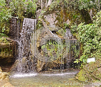 Waterfall, san martin, peru. Stock Photo