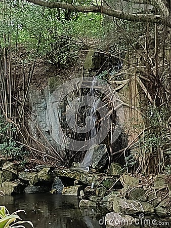 waterfall with stone in the Shady forest Stock Photo