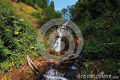 Waterfall among stones and taiga driftwood in water and wet stones Stock Photo