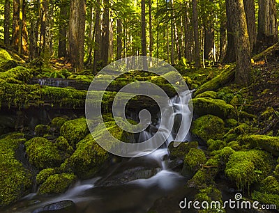 Waterfall and stream in Sol Duc area in Washington Stock Photo