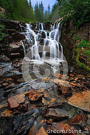 Sunbeam Creek waterfall, Mt Rainier National Park, WA Stock Photo