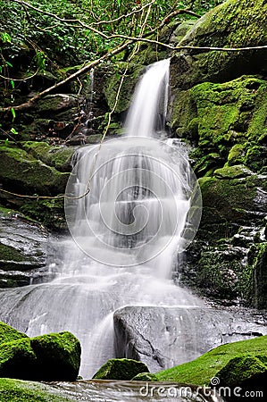 Waterfall of Thailand Stock Photo