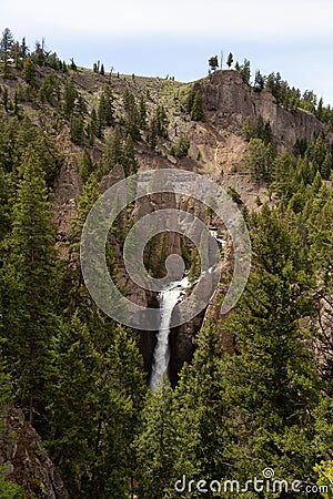 Waterfall and Trees in the American Landscape. Tower Fall in Yellowstone National Park Stock Photo