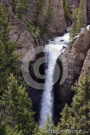 Waterfall and Trees in the American Landscape. Tower Fall in Yellowstone National Park Stock Photo