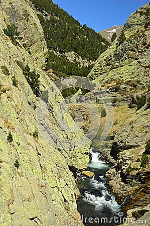 River in the Upper Freser Valley in the RipollÃ¨s region Spain Stock Photo