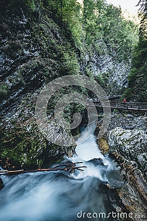 Waterfall at the Vintgar gorge, beauty of nature, with river Radovna flowing through, near Bled, Slovenia Stock Photo