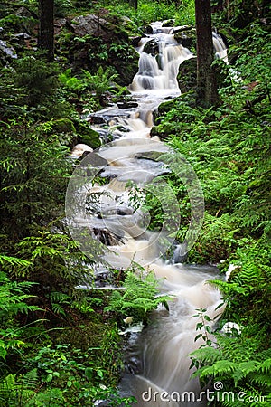 Waterfall, wild river Doubrava in Czech Republic. Valley Doubrava near Chotebor Stock Photo