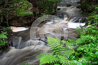 Waterfall, wild river Doubrava in Czech Republic. Valley Doubrava near Chotebor Stock Photo