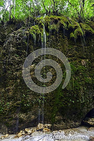 A waterfall in a WWF oasi Stock Photo