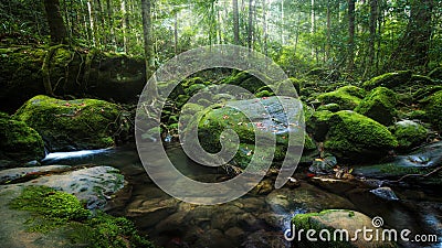 Waterfalls in the north of Thailand are covered with moss and plants. Beautiful waterfall in the rain forest. Stock Photo