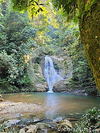 Waterfalls of pure water at La Danta Stock Photo