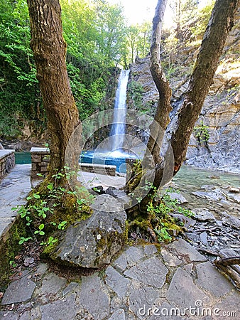 waterfalls trees in ioannina perfecture iliochori village greece Stock Photo