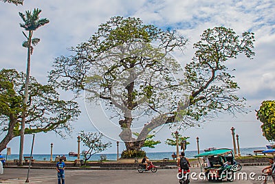 Waterfront with beautiful trees in cloudy weather. Dumaguete, Philippines Editorial Stock Photo