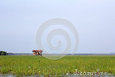 Waterfront cottage Stock Photo