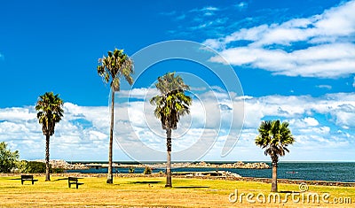 Waterfront of Rodo park in Montevideo, Uruguay Stock Photo