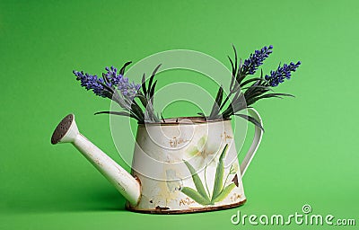 Watering can with flowers on the green bsckground Stock Photo
