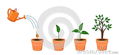 Watering can with plant. Tree growth Stages with green leaf, nature plant. Vector Illustration