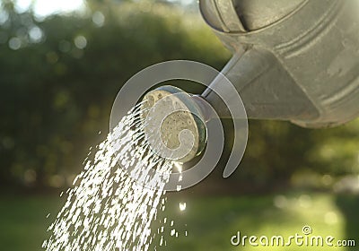 Watering Can Pouring Water Stock Photo