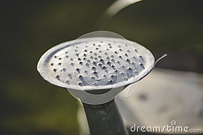 Watering can Sprinkler rose against blurry background. Stock Photo