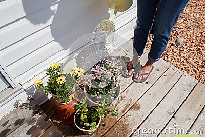 Watering flowers Stock Photo