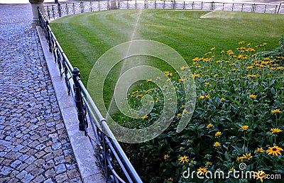 Watering lawn automatic irrigation with pull-out sprinklers fresh green color black plastic nozzles extend and rotate in a circula Stock Photo