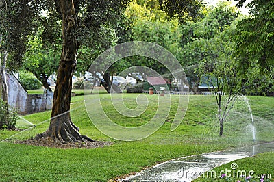 Watering Lawns Stock Photo