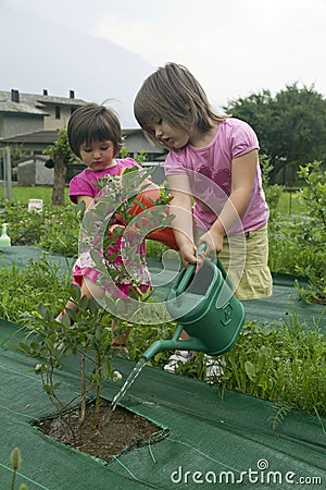 Watering the plants Stock Photo