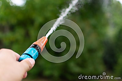 Watering plants in the garden during a summer drought Stock Photo
