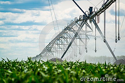 An irrigation pivot watering a field, beautiful view Stock Photo